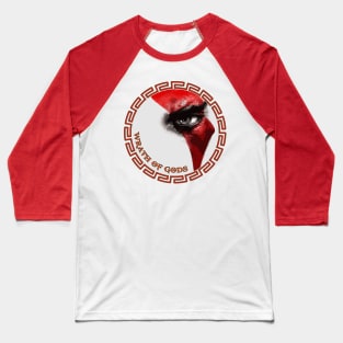 Wrath of Gods Baseball T-Shirt